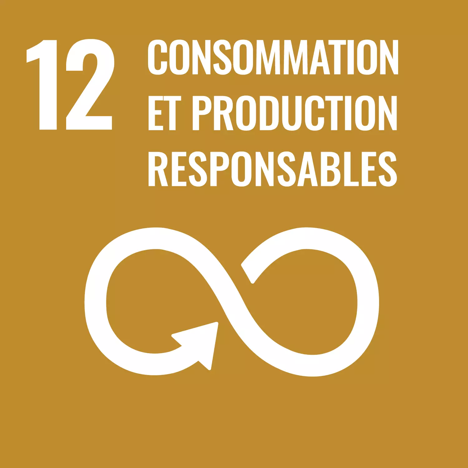 ODD 12 — Consommation et production responsables