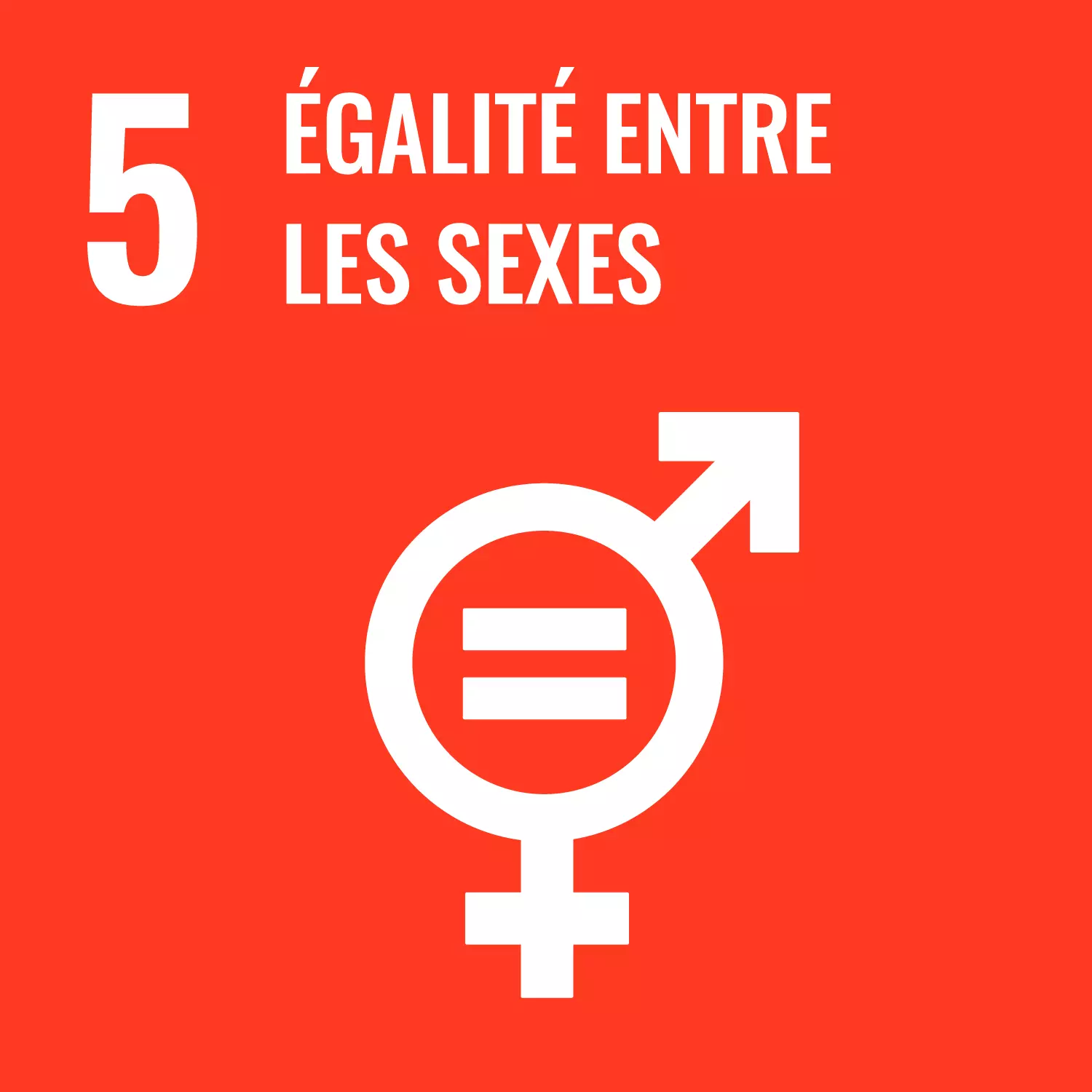 ODD 5 — Égalité entre les sexes